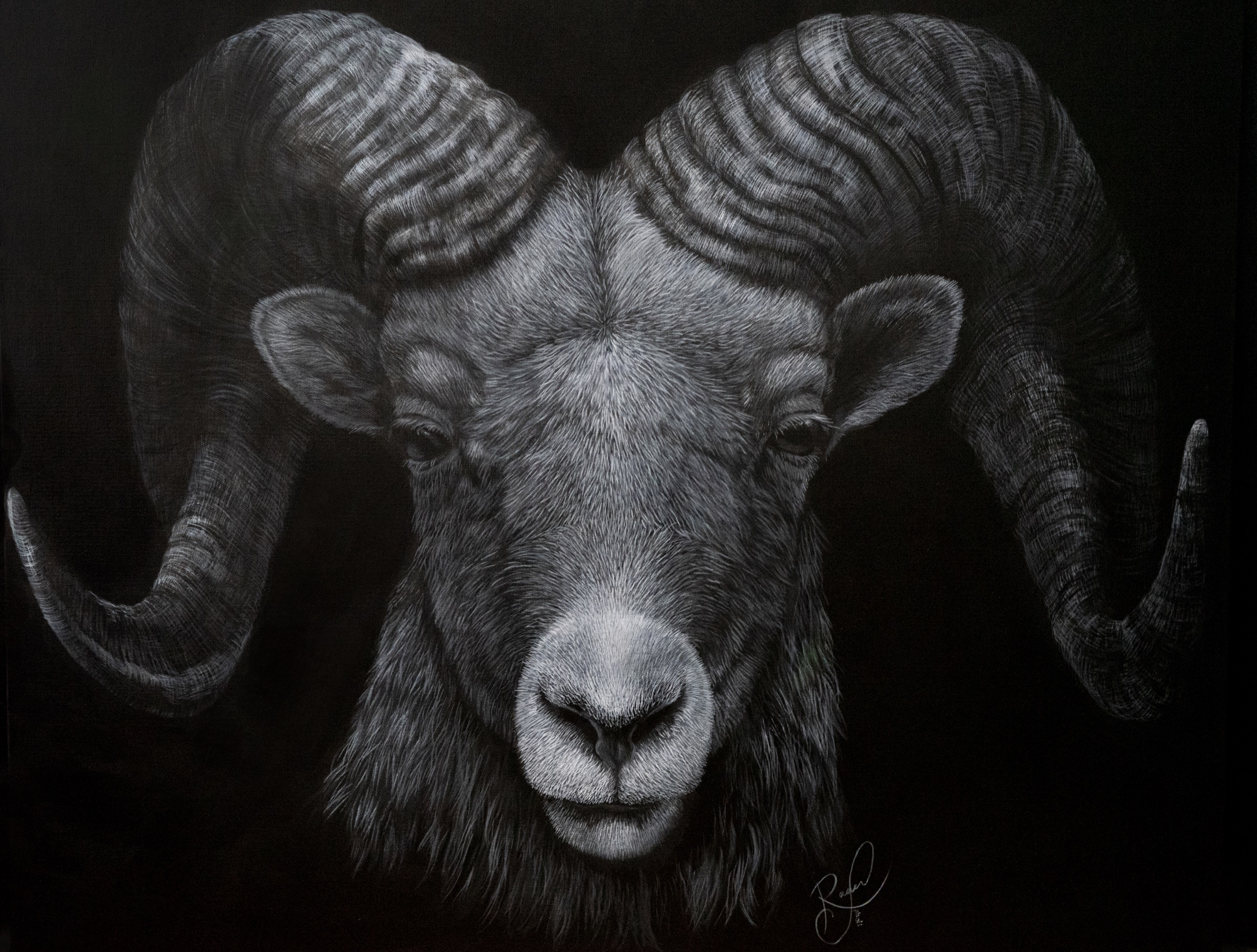 Dominance by Ashley Rader