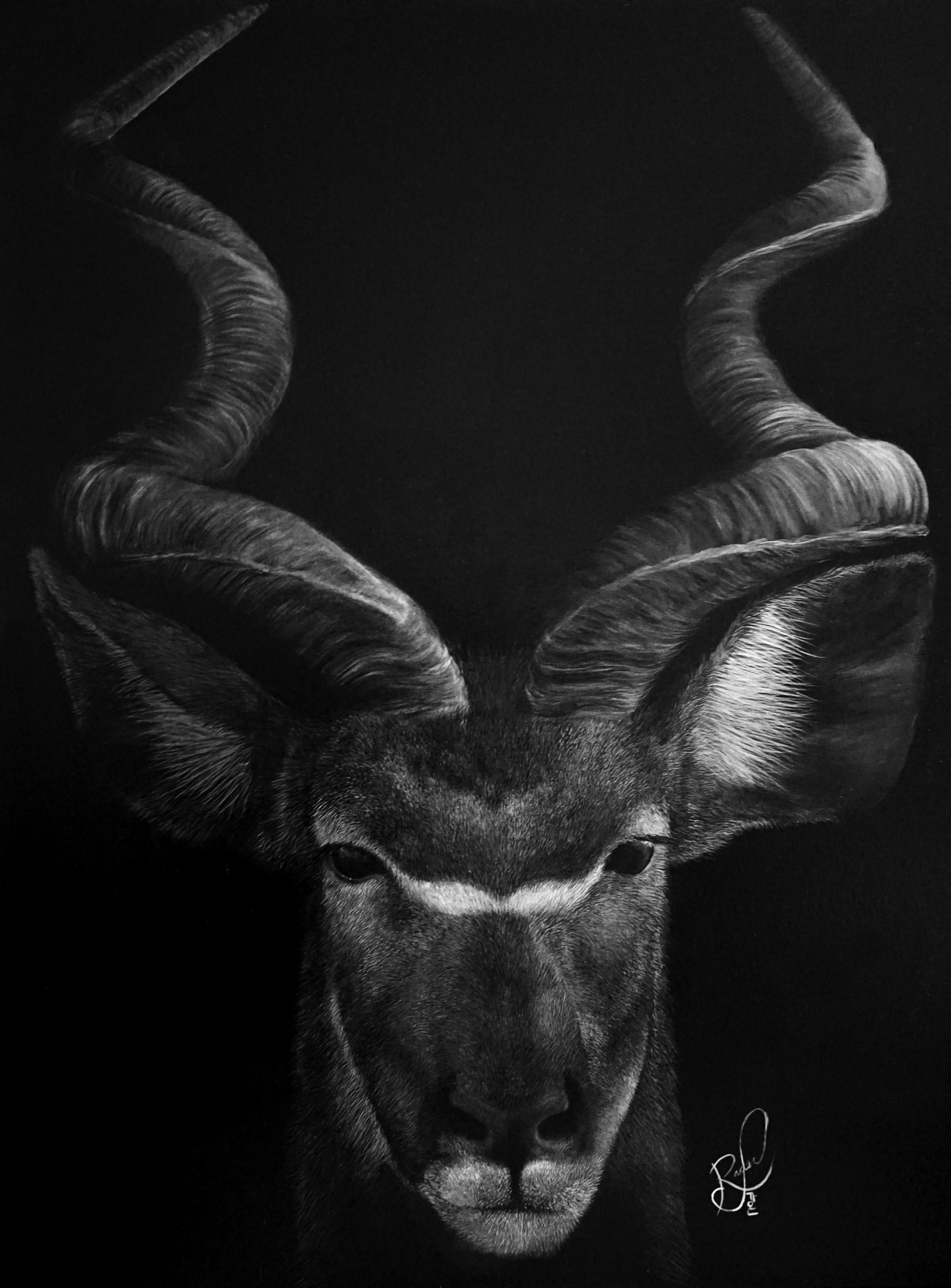 Stability by Ashley Rader