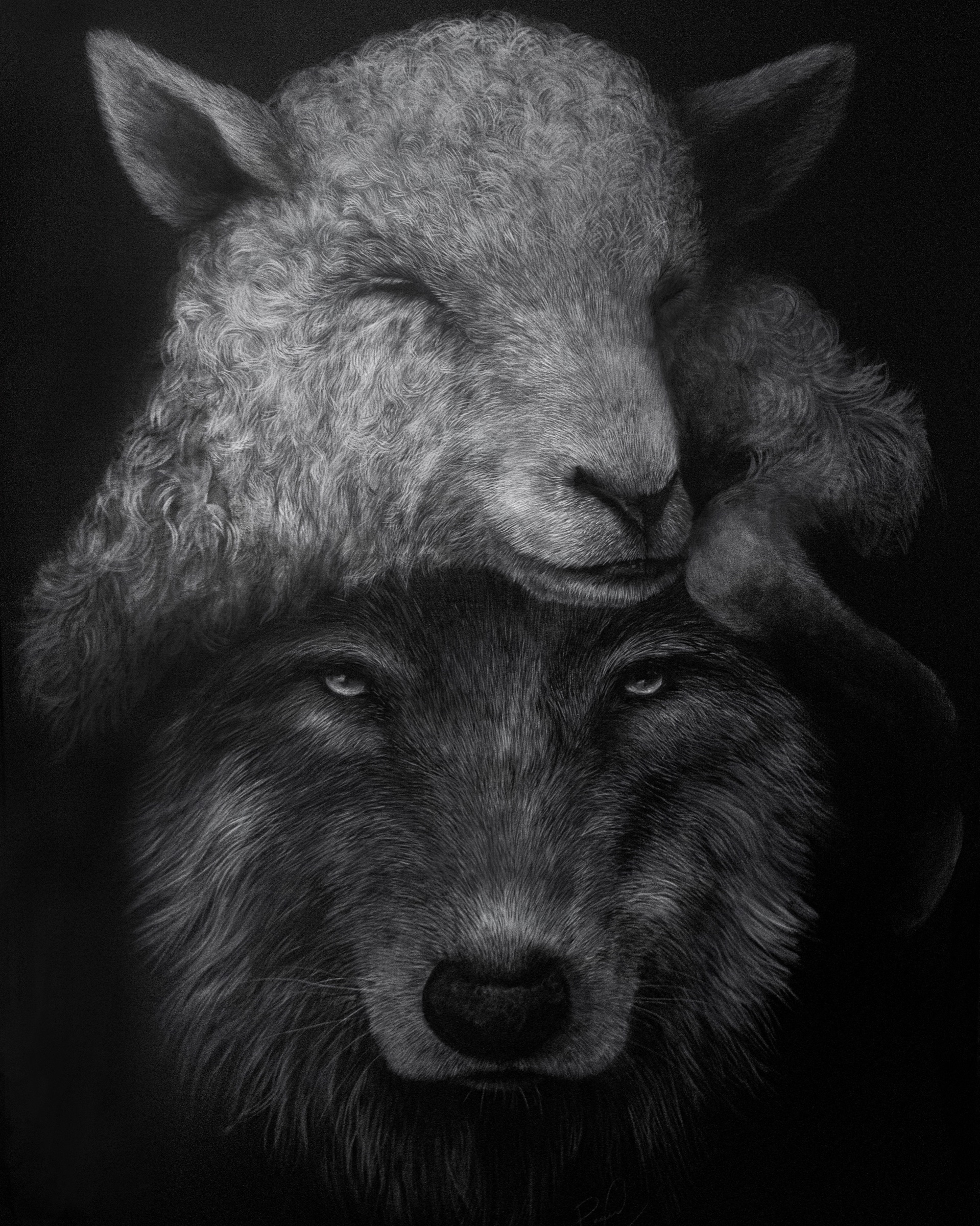 Deception, independent wildlife artwork by Ashley Rader