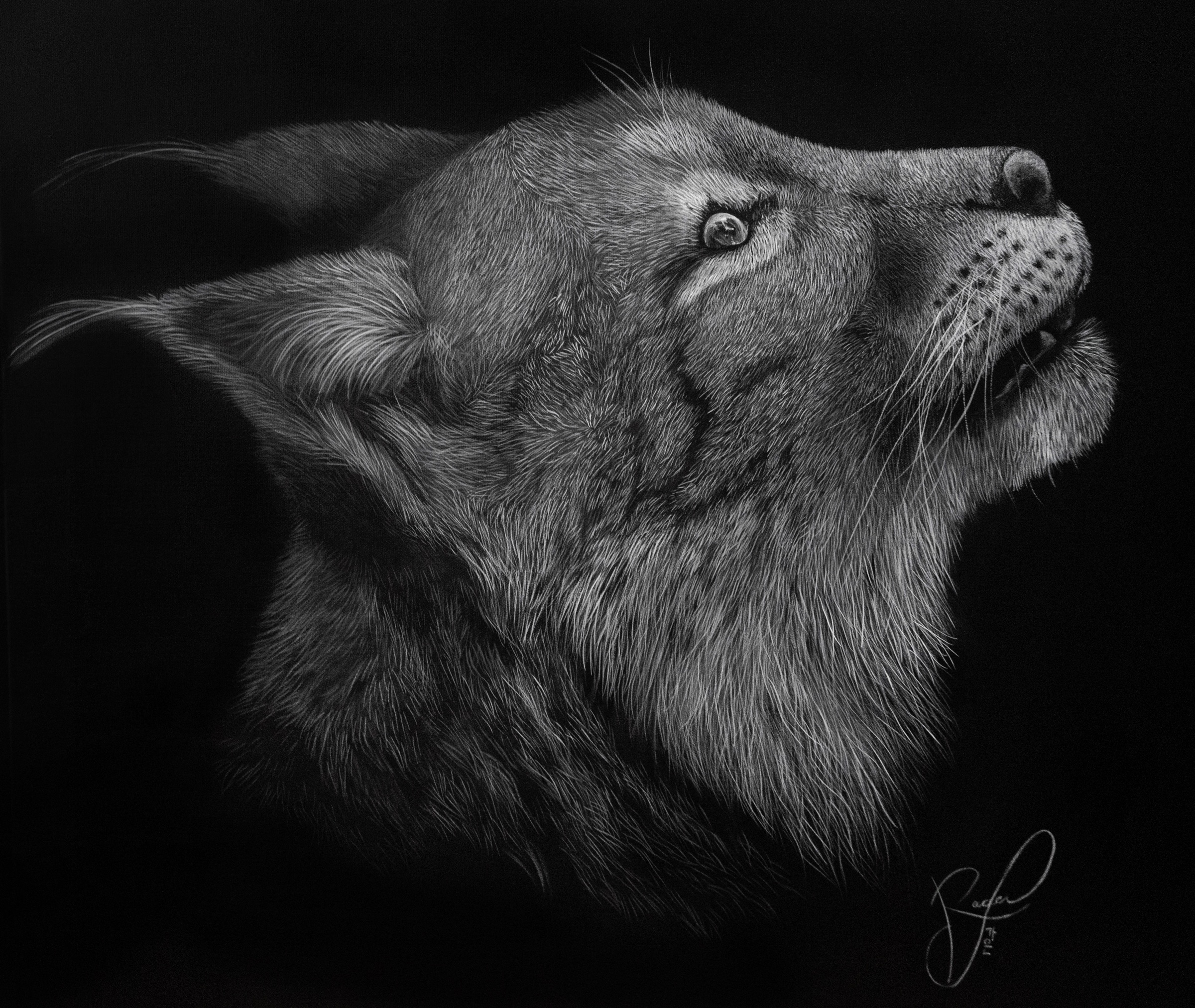 Stealth by Ashley Rader